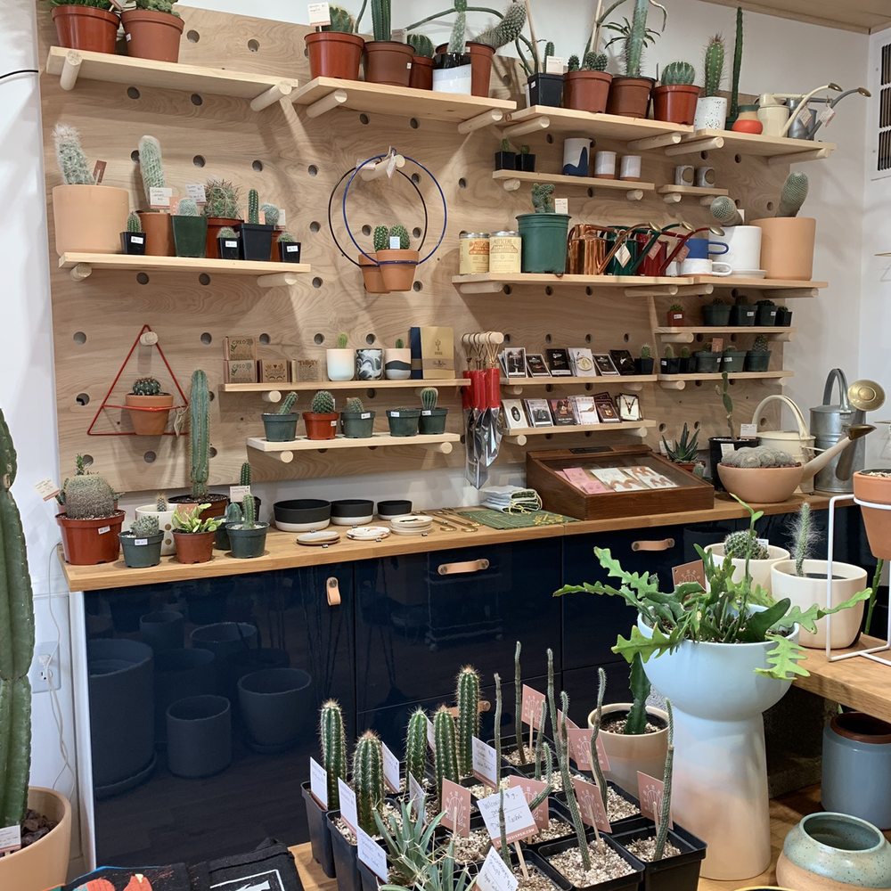 Synthesis - A cactus/succulent lovers' dream - Home & Garden Near Me - Pittsburgh, Pennsylvania Synthesis - A cactus/succulent lovers' dream - Home & Garden Near Me - Pittsburgh, Pennsylvania