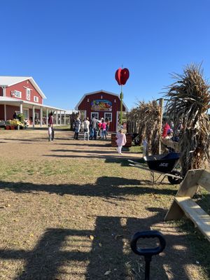 Hank's Pumpkintown by null