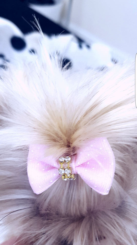 DELUXE MUTZ 15 Photos Unit 31 Coolmine Industrial Estate