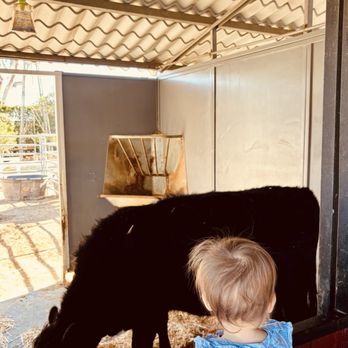 Centennial Farm - Venues & Event Spaces Near Me - Costa Mesa, California Centennial Farm - Venues & Event Spaces Near Me - Costa Mesa, California