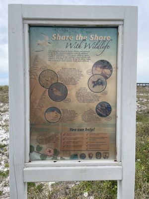 Henderson Beach State Park by null