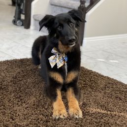 Clean  baby boy .. love his new bow .. fresh and clean