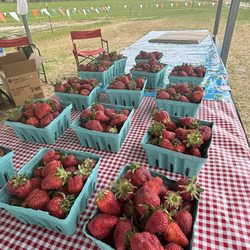 Lilley Farms