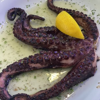 Hellas Restaurant - Octopus - Bakeries Near Me - Tarpon Springs, Florida Hellas Restaurant - Octopus - Bakeries Near Me - Tarpon Springs, Florida