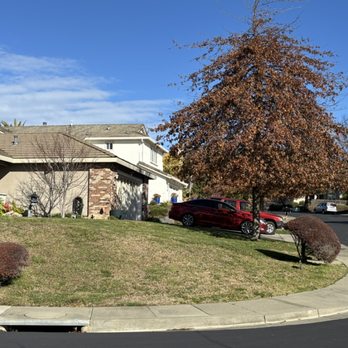 All Season Landscaping - Before front of the house - Landscaping Near Me All Season Landscaping - Before front of the house - Landscaping Near Me