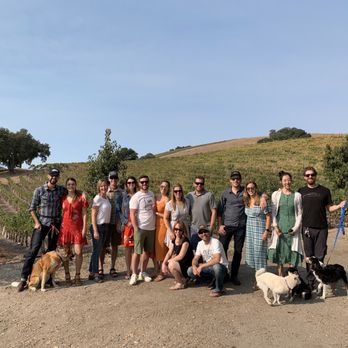 Toast Tours - Wine Tours Near Me - Paso Robles, California Toast Tours - Wine Tours Near Me - Paso Robles, California