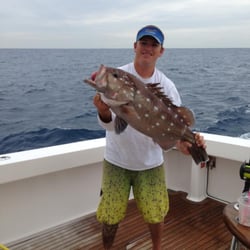 Fish Lauderdale - Yummy