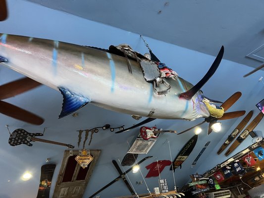 Carlos & Harley's Fresh-Mex and Bar by null