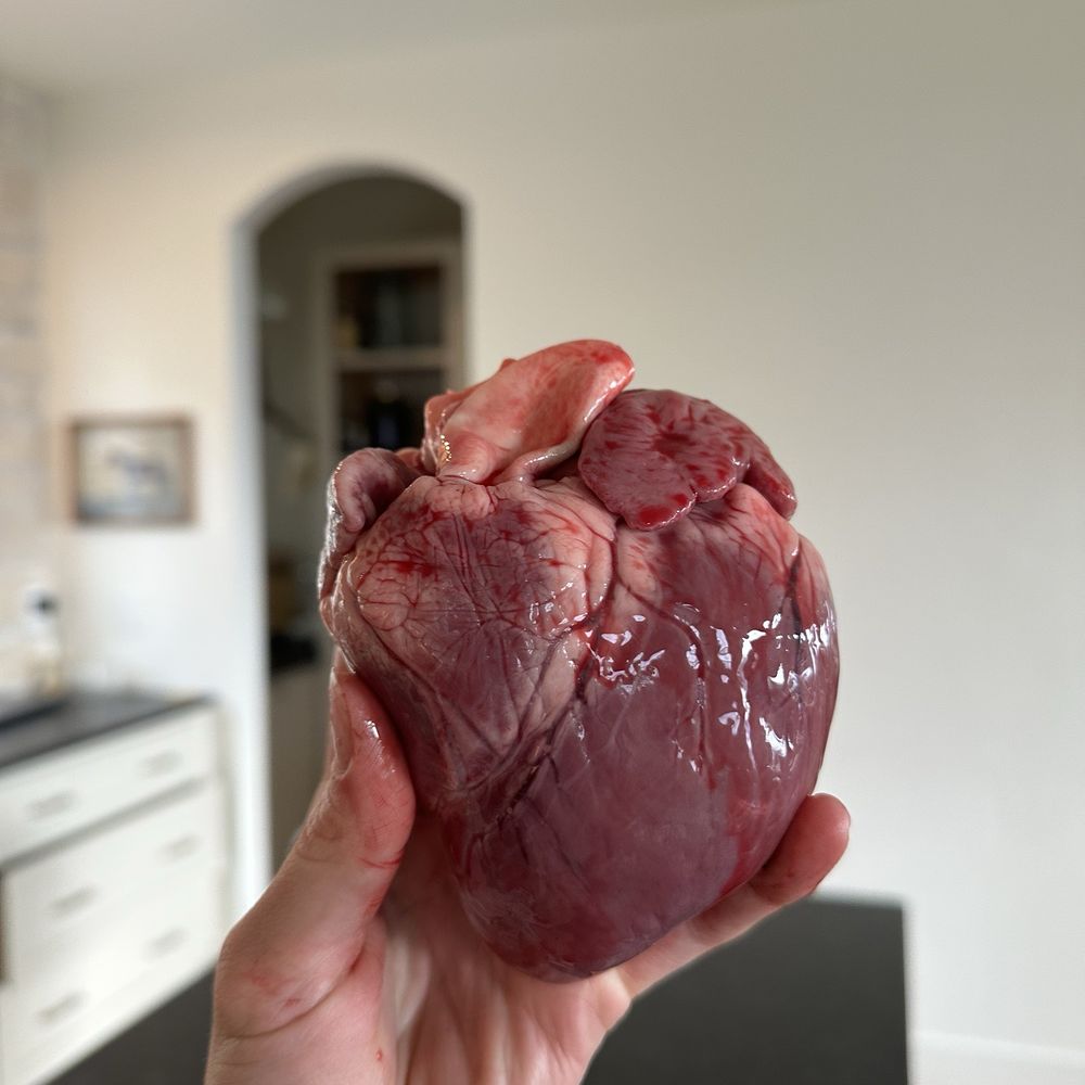 Hendrickson Home Kill - Heart - Butcher Near Me - Vancouver, Washington Hendrickson Home Kill - Heart - Butcher Near Me - Vancouver, Washington