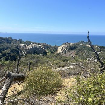 Torrey Pines State Reserve - Parks Near Me - La Jolla, California