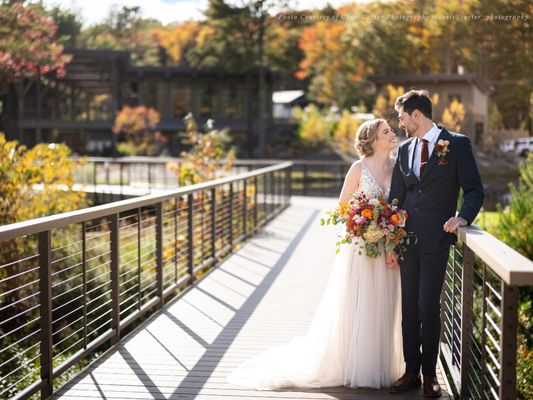 The Eldred Preserve by null