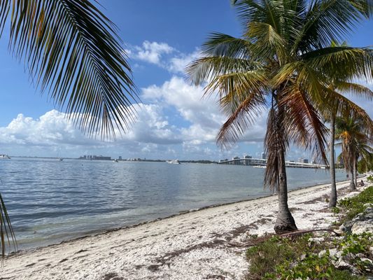 Hobie Island Beach by null