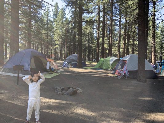 Mammoth Campground by null