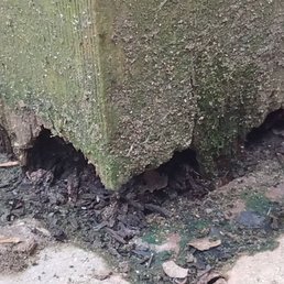 Rotten post, before
