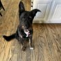 Ashley's Movin' Groom