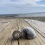 Photo of Oakland Beach