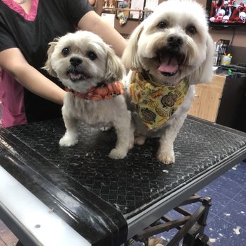 Gail's Groomerie - Pet Groomers Near Me - Naperville, Illinois