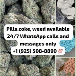 Louisiana Medical Marijuana Doctors