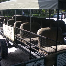 Swamp tour buggy Swamp tour buggy
