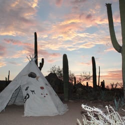 The Wild Purple Ranch and Retreat - Teepee.... in 10 acres of trails and desert Art walk!
Great desert flora and fauna!