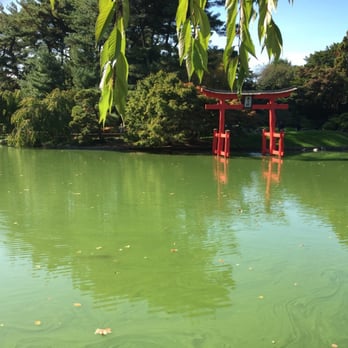 Brooklyn Botanic Garden - Japanese hill and pond - Botanical Gardens Near Me - Brooklyn, New York Brooklyn Botanic Garden - Japanese hill and pond - Botanical Gardens Near Me - Brooklyn, New York