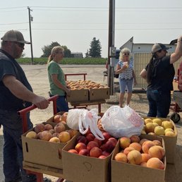 Our yearly load of peaches Our yearly load of peaches