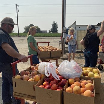 Lakeview Fruit - Our yearly load of peaches - Farmers Market Near Me - Caldwell, Idaho Lakeview Fruit - Our yearly load of peaches - Farmers Market Near Me - Caldwell, Idaho