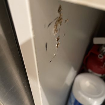 Revolution - Kitchen sink after maintenance "fixed it and it fell off again - Apartments Near Me - Henderson, Nevada Revolution - Kitchen sink after maintenance "fixed it and it fell off again - Apartments Near Me - Henderson, Nevada