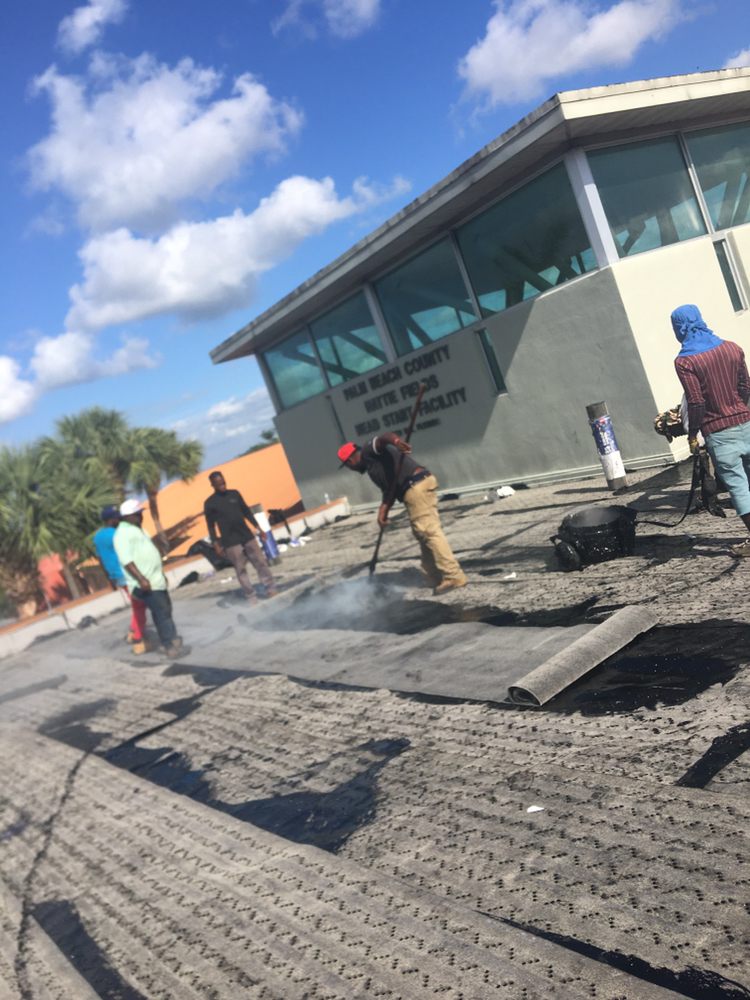 Slide of Tree Of The World Roofing