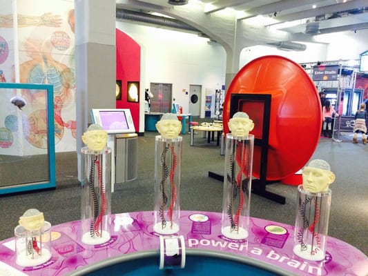 We The Curious by null