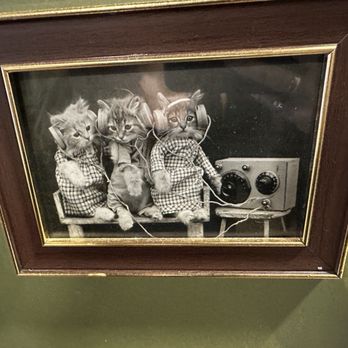 Niagara Falls Cat Cafe - Themed Cafes Near Me - Niagara Falls, Ontario Niagara Falls Cat Cafe - Themed Cafes Near Me - Niagara Falls, Ontario