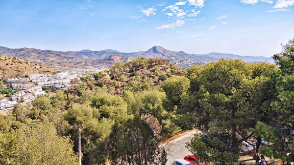 Castillo de Gibralfaro by null