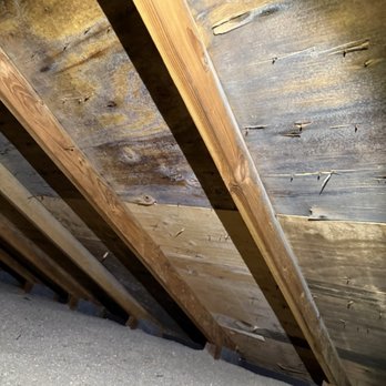 High Performance Homes - Mold Affected Sheathing. - Roofing Near Me - Vancouver, Washington High Performance Homes - Mold Affected Sheathing. - Roofing Near Me - Vancouver, Washington