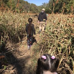 Mecca Family Farms