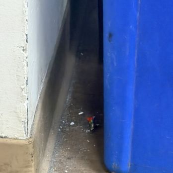 Beachside Del Mar Laundromat - How many months? - Laundromat Near Me - Del Mar, California