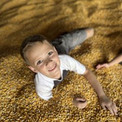 Country Pumpkins - Corn Boxes