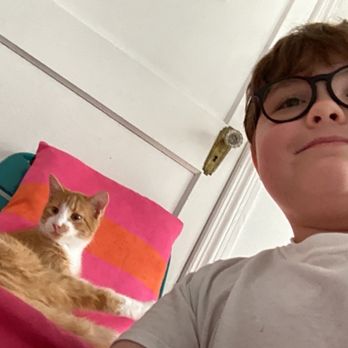 Right Meow Cat Cafe - Cat - Themed Cafes Near Me - Fuquay Varina, North Carolina Right Meow Cat Cafe - Cat - Themed Cafes Near Me - Fuquay Varina, North Carolina