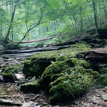 Clifty Falls State Park - Climbing Near Me - Madison, Indiana