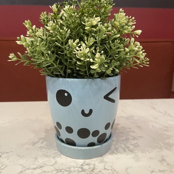 Gong Cha - Bubble Tea Near Me - San Antonio, Texas Gong Cha - Bubble Tea Near Me - San Antonio, Texas