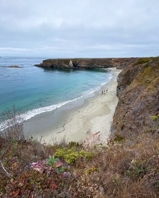 Mendocino Headlands State Park by null