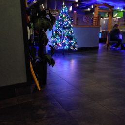 Nice tree Nice tree