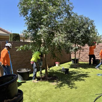 Moon Valley Nurseries - Install crew - Nurseries & Gardening Near Me - Las Vegas, Nevada Moon Valley Nurseries - Install crew - Nurseries & Gardening Near Me - Las Vegas, Nevada