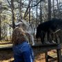 Photo of Howling Woods Farm
