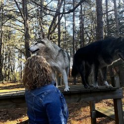 Howling Woods Farm