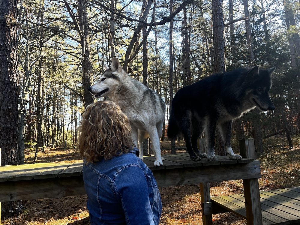 HOWLING WOODS FARM - Updated May 2026 - 253 Photos & 78 Reviews - 1371