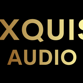 Exquisitech Audio Visual - Home Theatre Installation Near Me Exquisitech Audio Visual - Home Theatre Installation Near Me