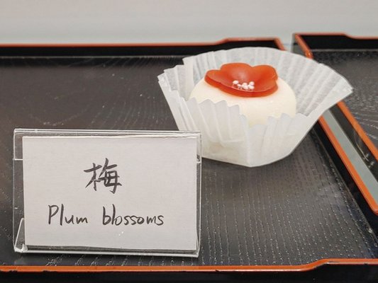 Chikara Mochi by null