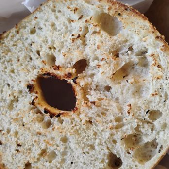 Wholy Bagel - Bagels Near Me - Austin, Texas Wholy Bagel - Bagels Near Me - Austin, Texas