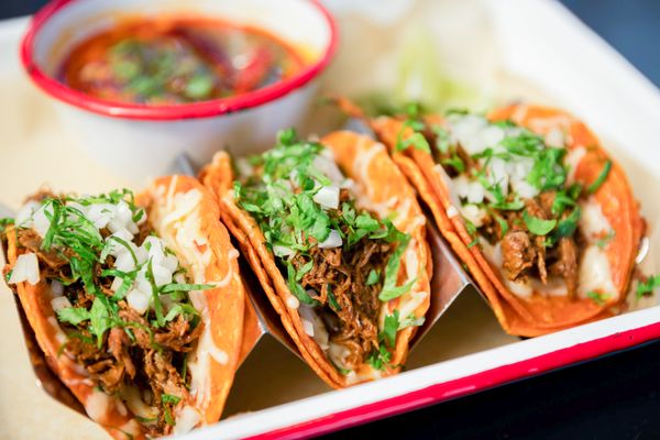 Federales Tacos & Tequila - RiNo, Denver by null