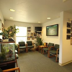 Preventive Dental Services - Relax in our waiting room! Check out our fun fish tank, watch some TV, enjoy some magazines or get lost in our Brad Hughes salmon painting.